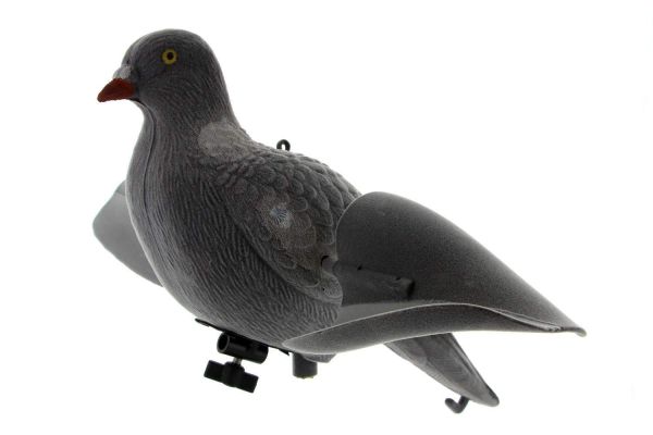 Appelant pigeon Aile Tournante