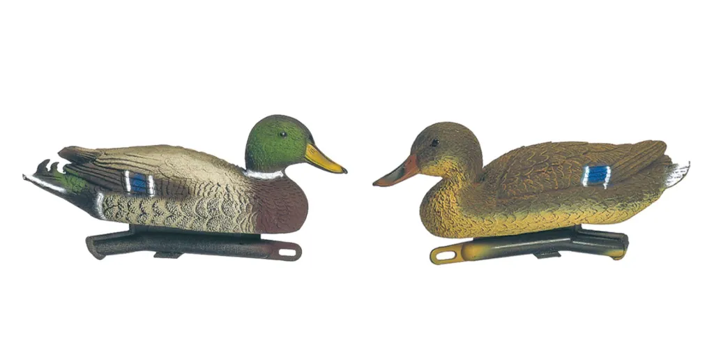 Appelant Canard Colvert Couple