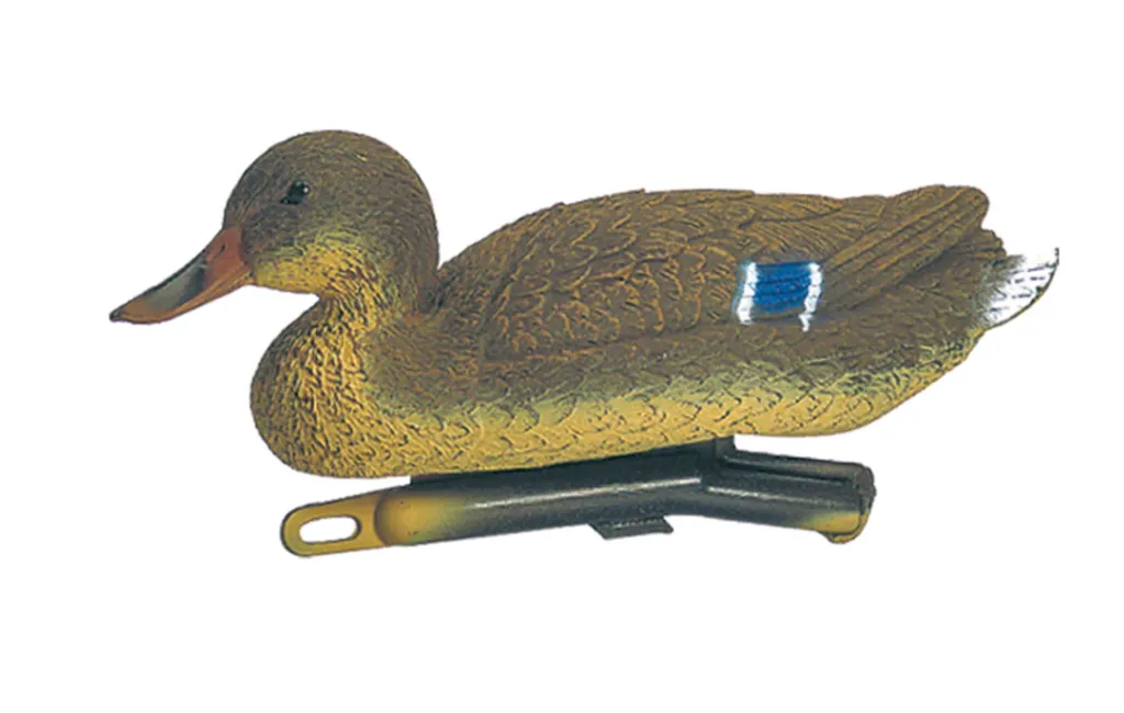 Appelant Canard Colvert Femelle