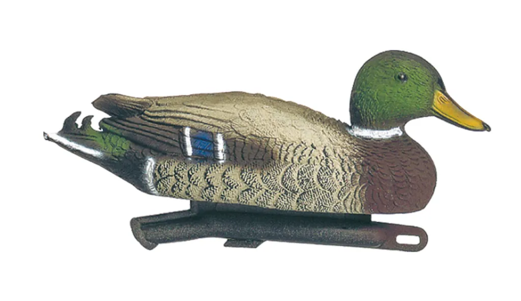 Appelant Canard Colvert Male