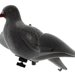 Appelant pigeon Aile Tournante