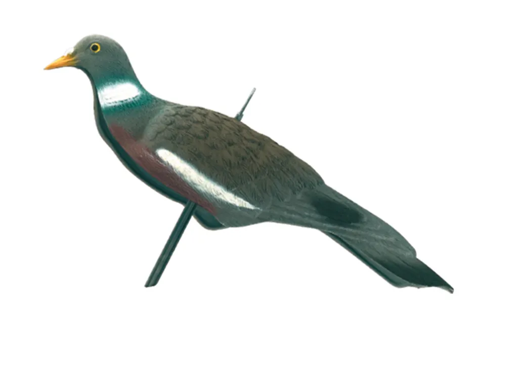 Appelant "Pigeon Anglais"