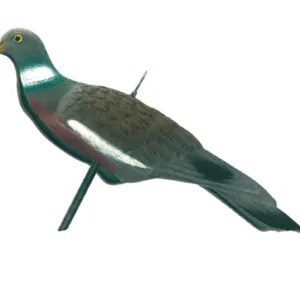 Appelant "Pigeon Anglais"