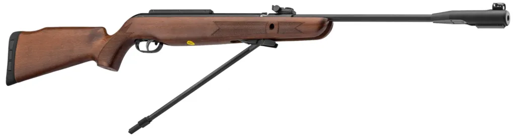 Carabine GAMO CFX ROYAL à canon fixe - 19,9J
