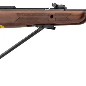 Carabine GAMO CFX ROYAL à canon fixe - 19,9J