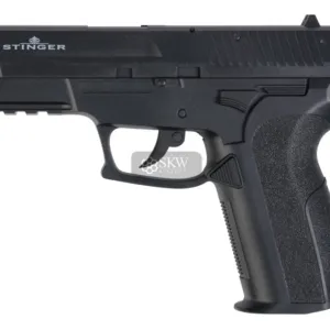 Stinger 2022 Noir Co2 4.5-0
